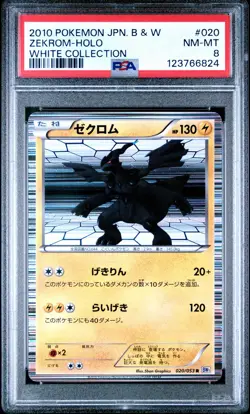 PSA 8 Zekrom 020/053 White Collection BW1 Japanese Holo Graded Pokemon Card - Image 1