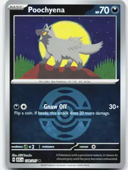 Poochyena (Dusk Ball) 128/217 Common Ascended Heroes Pokemon Reverse Holo NM - Image 1