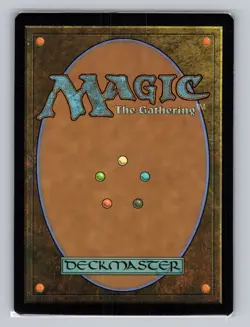 MTG Shifting Woodland (Borderless) R Modern Horizons 3 357 NM - Image 2