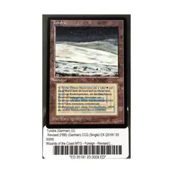 WotC MtG FBB German Tundra (German) (U) EX - Image 1