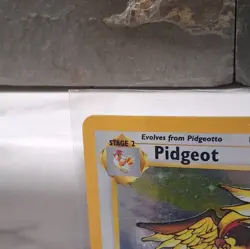 Wizards of the Coast Pidgeot 8/64 Jungle Holo Rare Unlimited 1999 80 HP ENG - Image 2