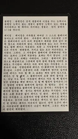 Visions Rules Insert Card NM KOREAN Magic The Gathering - Image 2
