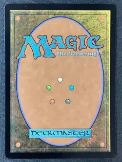 MTG Modern Horizons 3 #235 Windswept Heath LP+ - Image 2
