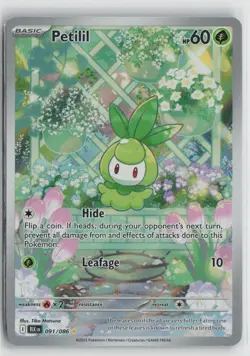 Petilil 091/086 Holo Illustration Rare Black Bolt Pokemon NM - Image 1