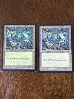 Forest (347) Urza's Saga Regular Magic The Gathering MTG M/HP - Image 1