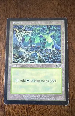 Forest (347) Urza's Saga Regular Magic The Gathering MTG M/HP - Image 2