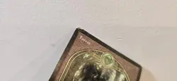 1998 MTG/Magic Basic Forest English - Unglued (UGL) - See Pictures DMG - Image 3