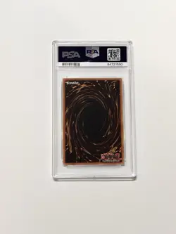 Yu-Gi-Oh PSA 10 1st Edition Blue-Eyes Toon Dragon SDP-020 Starter Deck Pegasus - Image 2