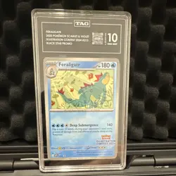 The Pokemon Company Feraligatr Promo 213 TAG 10 English 180 HP Illustration - Image 1