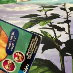 1999 Pokemon Burger King Poketrivia Promo #59 Arcanine - Image 3