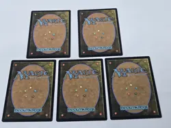5x Pizza Forest #257 MTG NM Teenage Mutant Ninja Turtles Magic The Gathering - Image 2