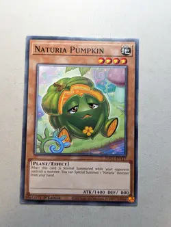 Naturia Pumpkin HAC1-EN117 1st Edition YuGiOh TCG Card - Image 1