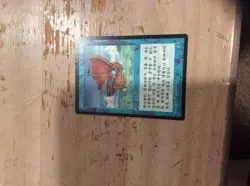 Korean fbb magic the gathering mtg pirate ship nm near mint black border 1996 - Image 1