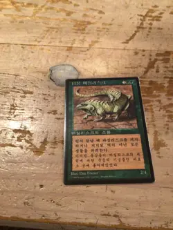 MTG Magic thicket basilisk 4th Edition Foreign Black Border Korean beta nm - Image 1