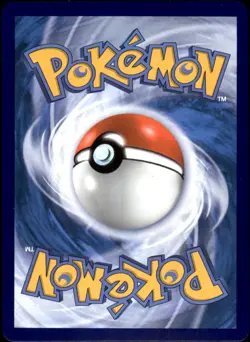 Raboot 027/198 Uncommon - Pokemon SWSH06: Chilling Reign NM - Image 2