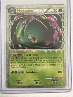 Meganium (Prime) HGSS08 Black Star Promo Pokemon HGSS Promos Vintage Holo NM - Image 1