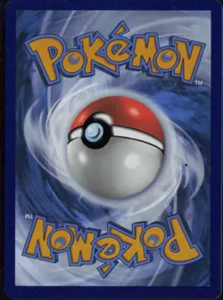 Squirtle 148/142 Pokemon Stellar Crown Illustration Rare Near Mint - Image 2