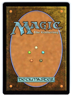 AUTOGRAPH - Birds of Paradise FOIL (176) Mark Poole - Secret Lair MTG - Image 2