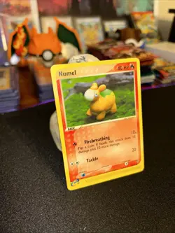 ✨Pokemon TCG Numel EX Dragon Regular Common Card 69/97 MP✨ - Image 1