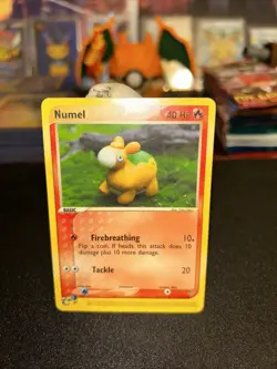 ✨Pokemon TCG Numel EX Dragon Regular Common Card 69/97 MP✨ - Image 2