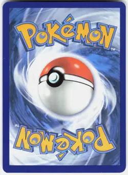 Pokemon Lileep 145/142 Illustration Rare Stellar Crown Pokemon Near Mint - Image 2