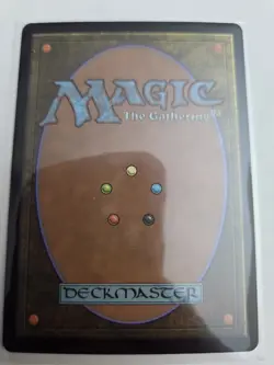 mtg, Shifting Woodland Modern Horizons 3 Foil NM - Image 2