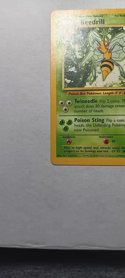 Beedrill 17/102 Base Set Unlimited Pokemon HP - Image 5