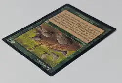 Food Chain - Magic The Gathering MTG - Mercadian Masques! - Image 4