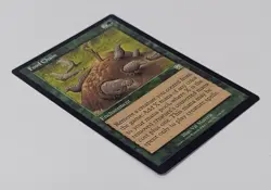 Food Chain - Magic The Gathering MTG - Mercadian Masques! - Image 5