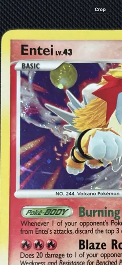 Pokemon TCG Entei Lv.43 Secret Wonders 4/132 Holo Rare (MP) - Image 4