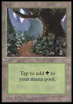 Forest B - Damaged / Poor MTG Beta - Image 1
