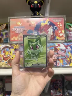 Sprigatito EX 251/217 Ascended Heroes Special Illustration Rare Pokemon TCG NM - Image 1