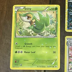 Pokemon TCG Lot 3 Radiant Collection Holos Cinccino Purrloin Snivy NM - Image 2