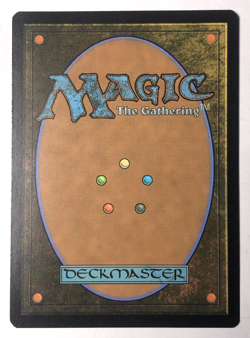 Doors of Durin 199 the Lord of the Rings MTG Magic the Gathering NM - Image 2