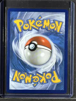 Pikachu V #SWSH143 SWSH: Sword & Shield Promo Cards 250001 - Image 2