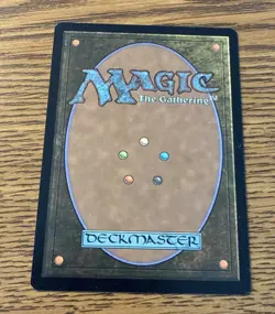 MTG Splinter of the Shadows - Ashcoat of the Shadow Swarm (Borderless) REGULAR - Image 2