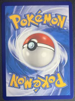 Flareon V 020/132 Pokemon S-Chinese SWSH Nine Colors Gathering CS4aC - Image 2