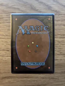 Sword of Fire and Ice 0062 Borderless Special Guests SPG MTG Magic - Image 2