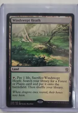 Windswept Heath Khans of Tarkir Regular - Image 1