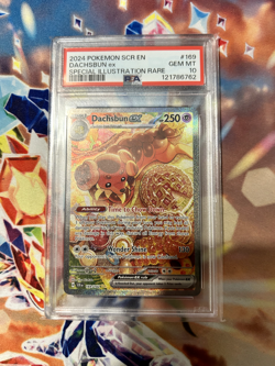 Pokemon TCG - Dachsbun 169/142 SIR Stellar Crown PSA 10 - Image 1