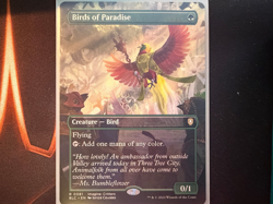 Birds of Paradise (Borderless) Bloomburrow Regular - Image 1