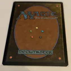 🌟 Island 0889 FOIL Secret Lair Drop Bonus Card 🌟 - Image 2
