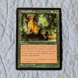 MTG Natural Order Visions - Image 1