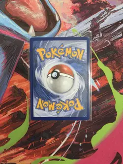Pokemon TCG First Partner Illustration Collection Series Kanto Starters Set NM/M - Image 3