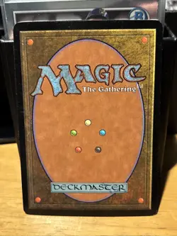 Foil Forest 7th Edition MTG NM - Image 2
