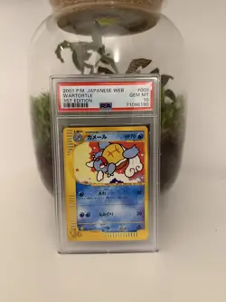 2001 1st Edition Wartortle #009 Web Series PSA 10 Pokemon Card - Image 1