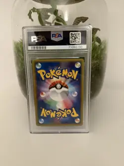 2001 1st Edition Wartortle #009 Web Series PSA 10 Pokemon Card - Image 2