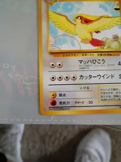 Mint Pigeot Pokemon Japanese Southern Islands #18 - Image 2