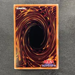 NM 3 card Dark Magician CCC1-JP001 Coco's Promo Super Parallel Rare YuGiOh 2250 - Image 3