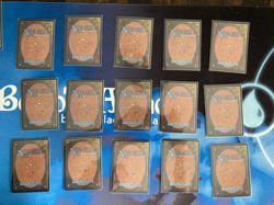 MTG Beta Complete Set of 15 Basic Lands Played Magic the Gathering - Image 2
